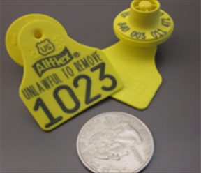 Small yellow bangle tag with RFID button