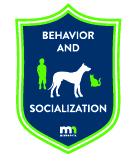 behavior and socialization with dog and human outlines icon