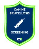 cane brucellosis screening with syringe icon