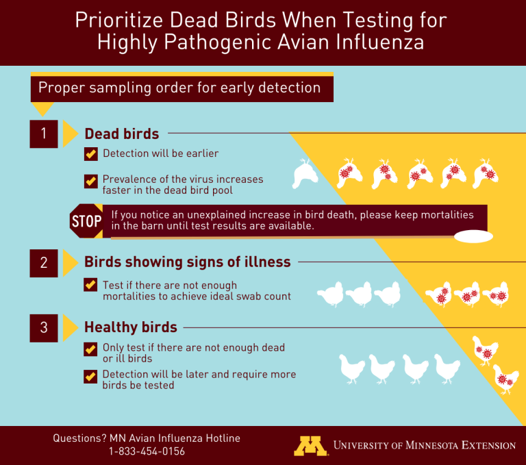 prioritize dead birds when testing for highly pathogenic avian influenze - full description of image below