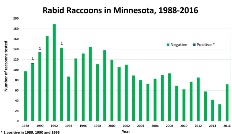 Graph of rabies in racoons in Minnesota