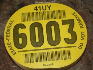 yellow backtag with number and barcode