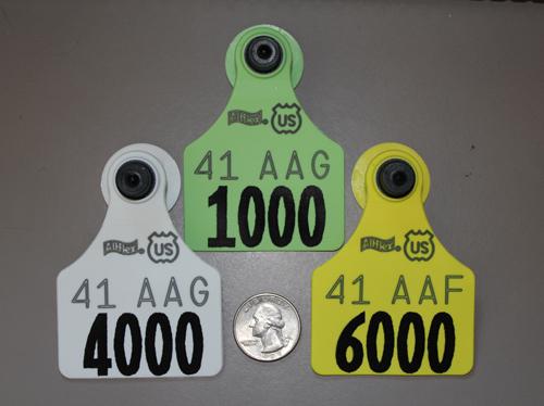 three large plastic nues tags, white, green, and yellow