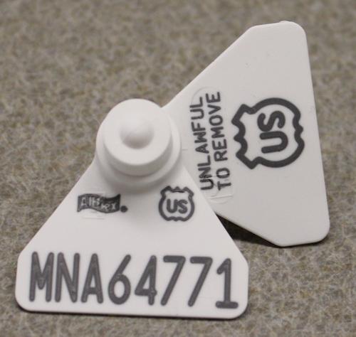 white plastic tag fanned out with id number