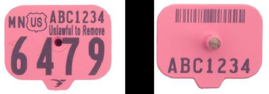 pink plastic swine tag with id printed on one side and id with barcode on the other side